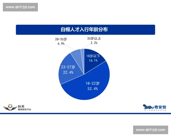 蒙特冲击与白帽较量揭秘网络安全攻防的多维策略与实战启示
